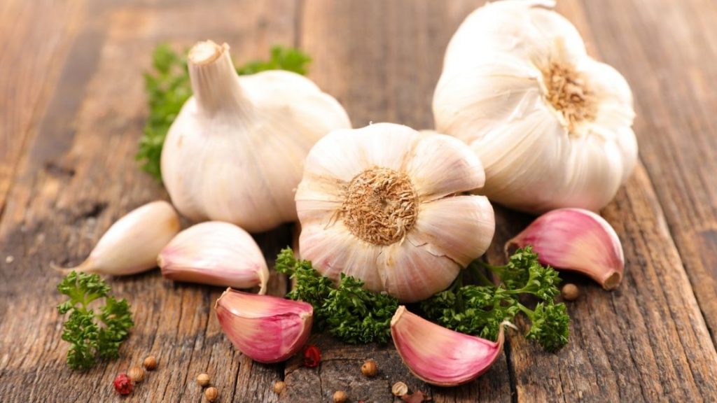 Garlic 